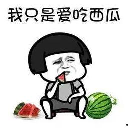 娱乐圈吃瓜动画片叫什么  第1张